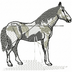 Horses Embroidery Design 11